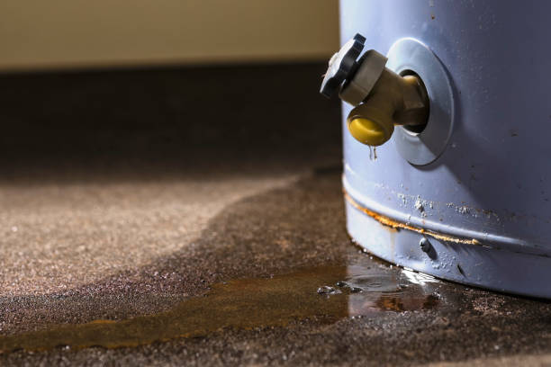 Carpet water damage restoration in KY