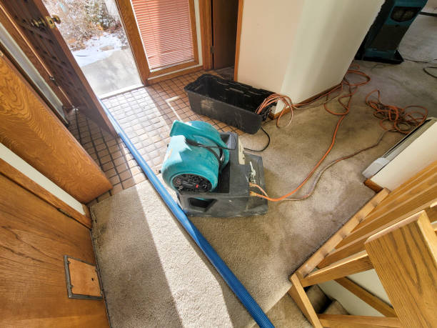 Best Water damage restoration near me  in Hendron, KY